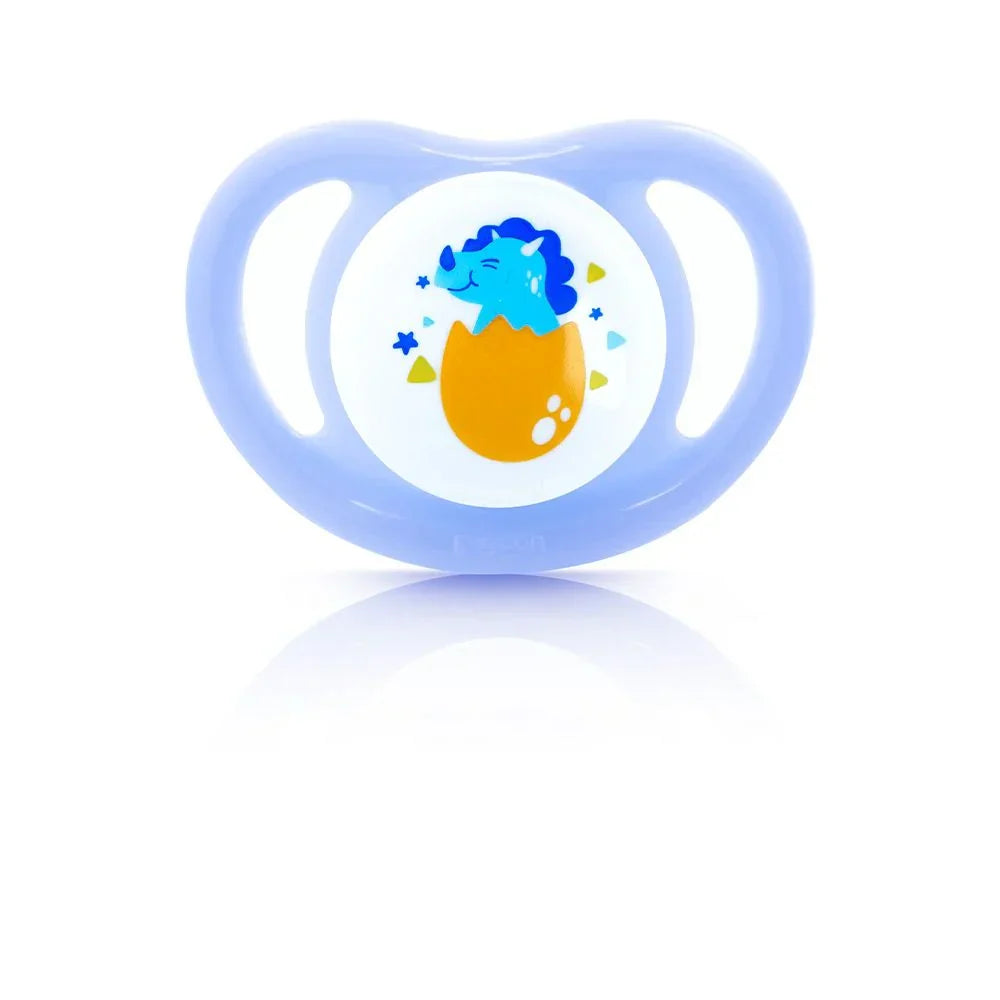 Pigeo Dino Egg Pacifier