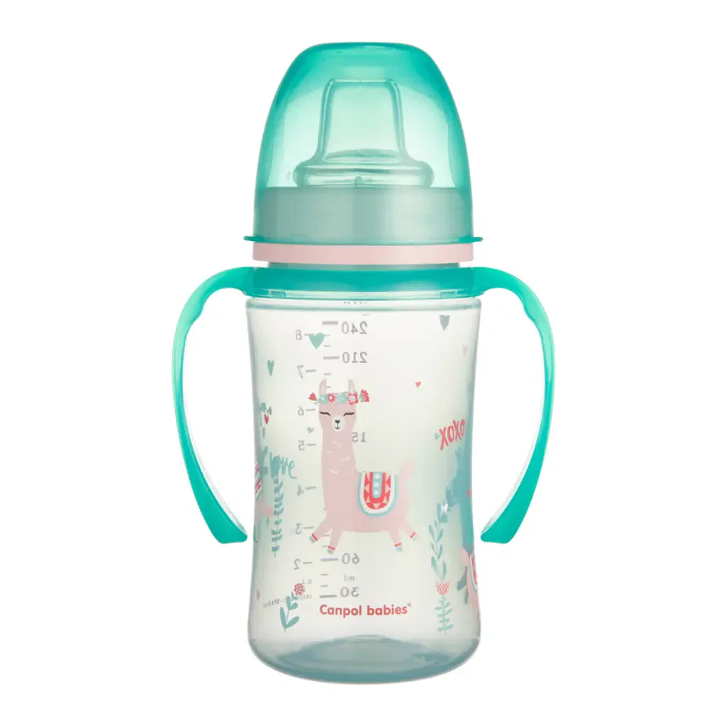 Canpol baby training cup 240ml with handles BPA free sippy cup for babies 6 months Pakistan